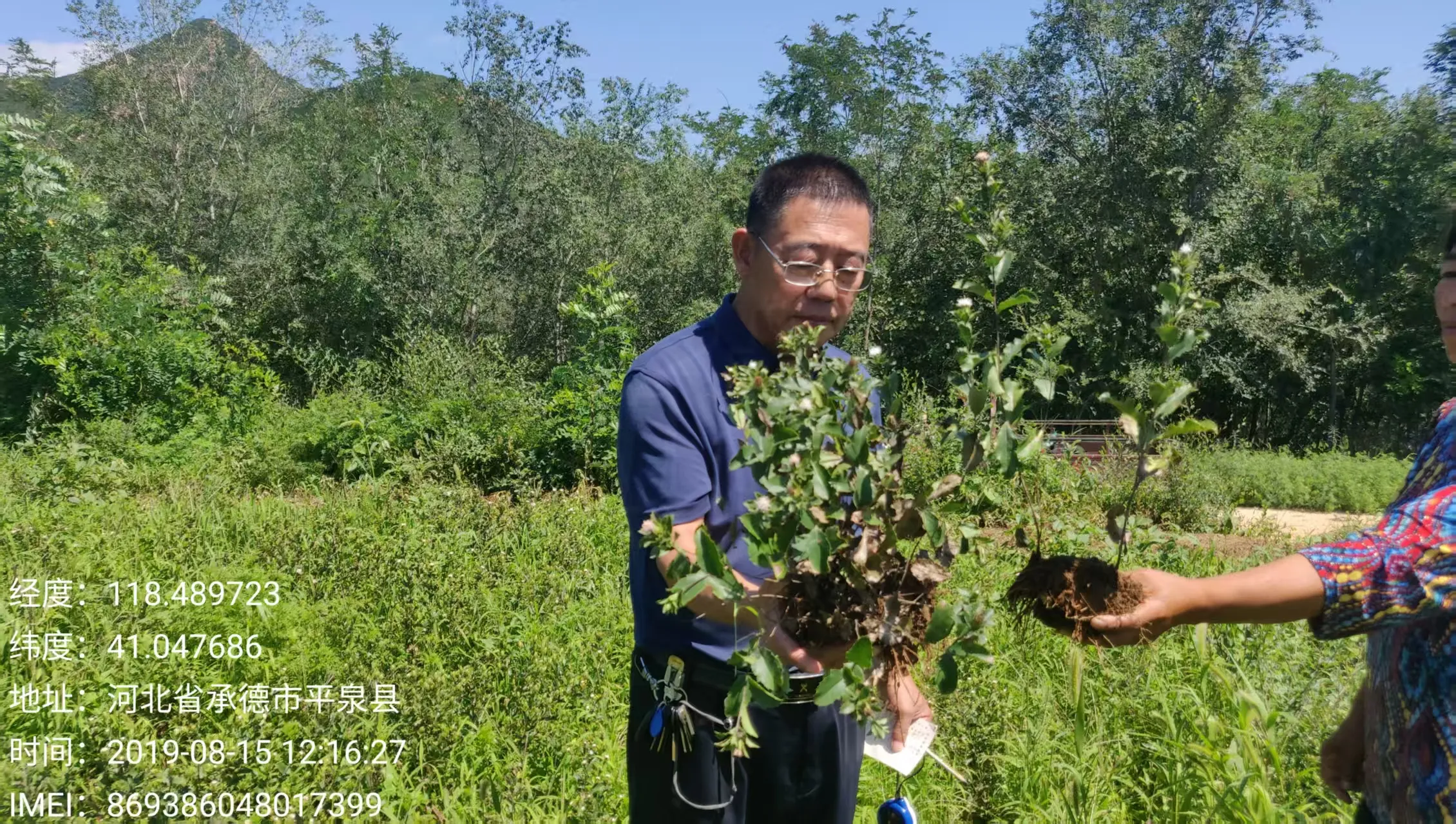 中药材品种图片